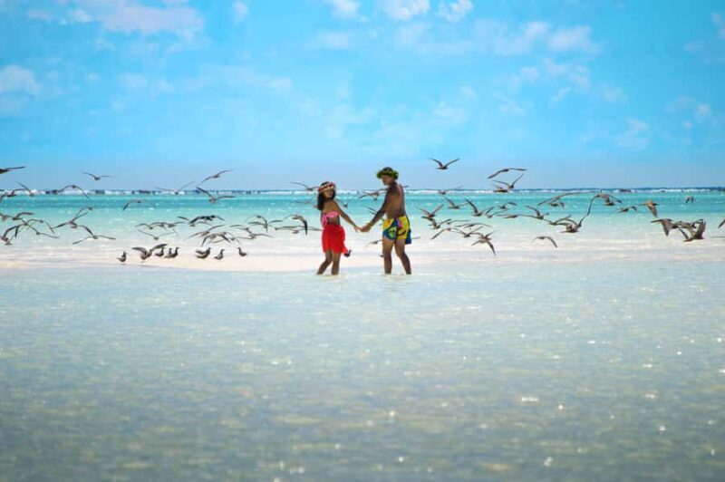 Tahiti Lagoon: 4-hour snorkeling to discover the secrets of the lagoon - Practical Details That Matter