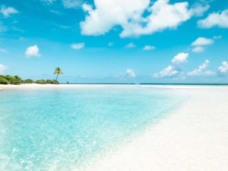 Tahiti Lagoon: 4-hour snorkeling to discover the secrets of the lagoon - Final Thoughts