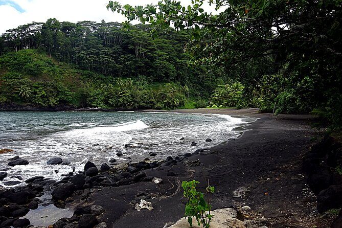 Tahiti: Tour of the East or West Coast (Half Day) - Authentic Insights from Guests