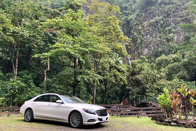 Tahiti: Tour of the East or West Coast (Half Day) - Practical Tips for Your Tour