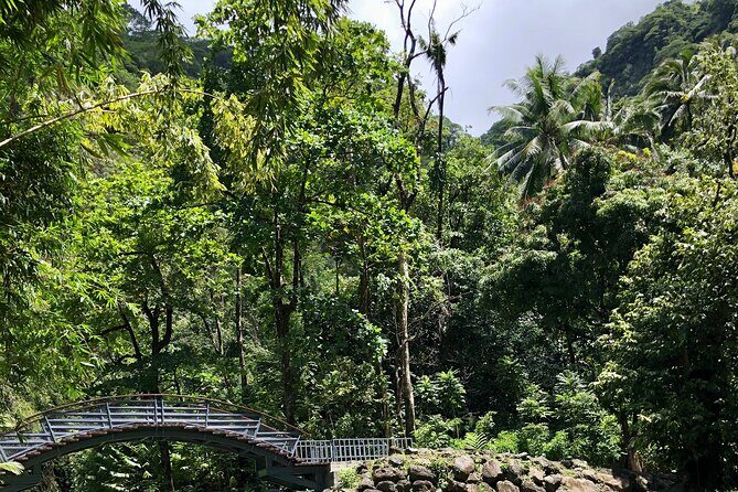 Tahiti: Tour of the East or West Coast (Half Day) - Who Will Appreciate This Tour?