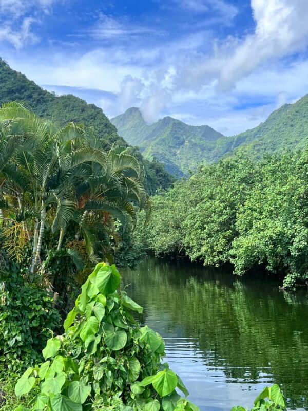 Tahiti: Unique Full Day West Coast, Combo Tour to Teahupoo - The Value of This Tour