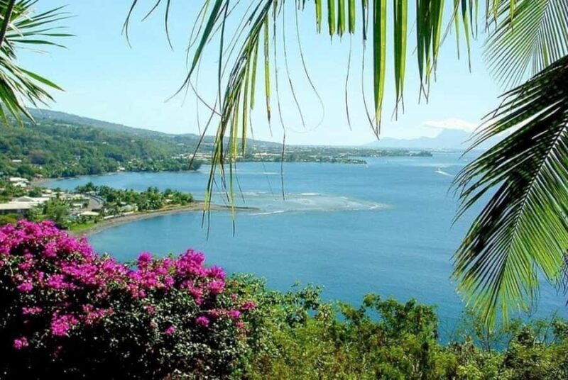 Tahiti: West and East Coast Island Tour with Waterfalls - Pricing and Value