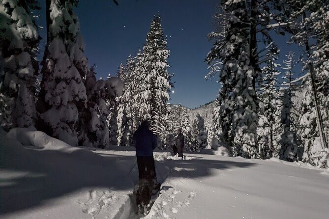 Tahoe National Forest Moonlight Snowshoe Tour Under a Starry Sky - The Practicalities: How the Tour Works