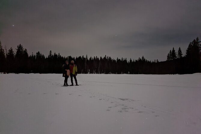 Tahoe National Forest Moonlight Snowshoe Tour Under a Starry Sky - Who Will Love This Tour?