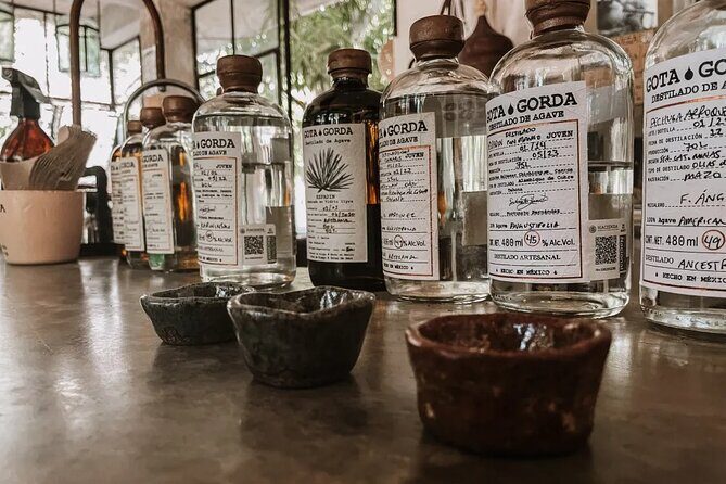 Tailor Made Experiences - What the Tour Offers: A Detailed Look