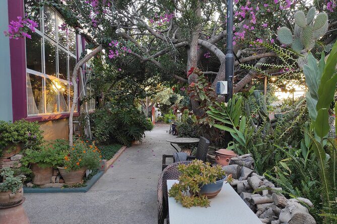 Tailor-Made Private Shore Excursion: Discover Chania Your Way - Final Thoughts: Is This Tour Right for You?