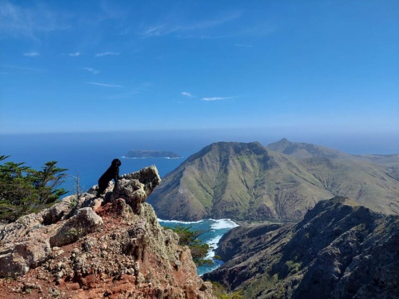Tailored Trek: Your adventure, Your Way - Exploring Porto Santo on Your Own Terms