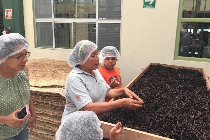 Tajin Ruins Day Trip and Vanilla Factory Experience - Key Points