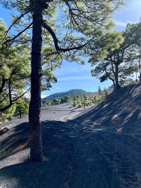 Tajogaite Volcano: the official route with a certified local guide - Final Thoughts