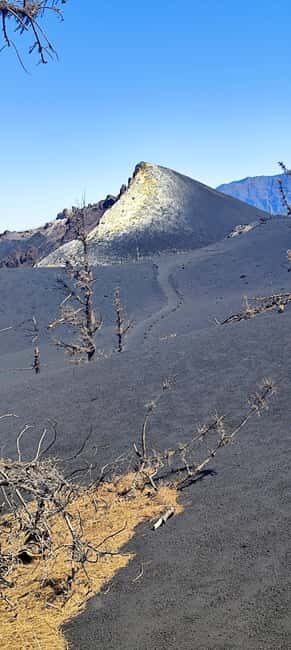 Tajogaite Volcano VIP Experience: Private Tour with a Certified Guide - The Experience in Detail