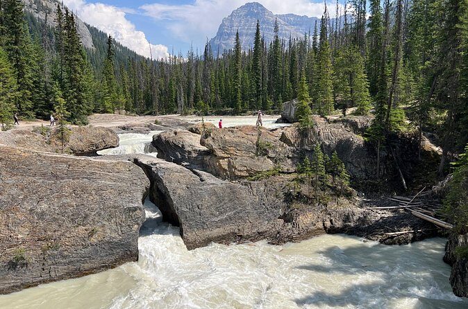 Takakkaw Falls Yoho National Park Bus Tour - FAQ: Your Questions Answered