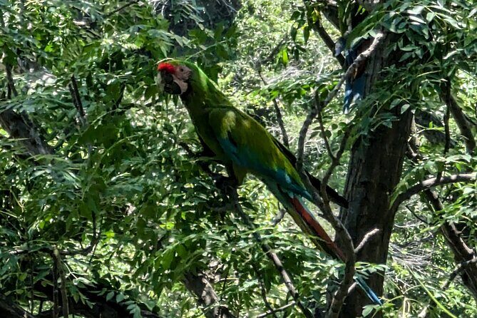 Take an Adventure to a Secret Swimming Spot - What Makes This Tour Stand Out?