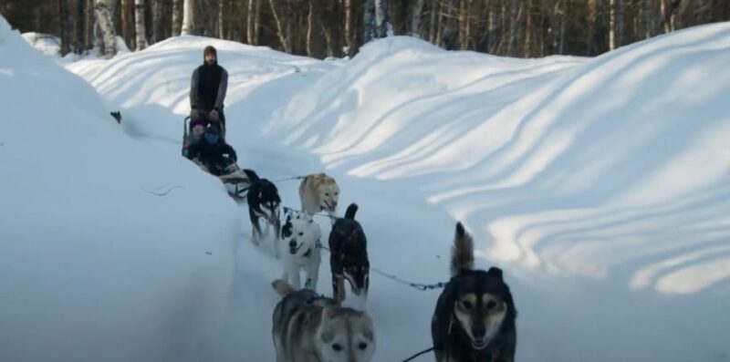Talkeetna: Alaskan Winter Dog Sledding Experience - FAQ