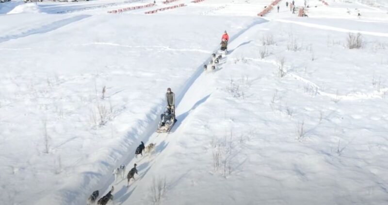 Talkeetna: Alaskan Winter Dog Sledding Experience - Final Thoughts