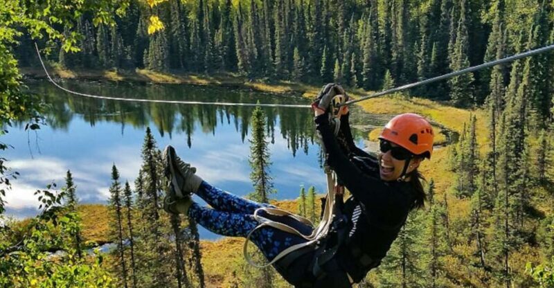Talkeetna: Denali Zipline Tours - Cost & Value