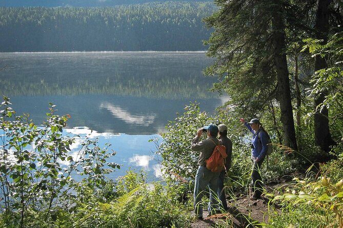 Talkeetna Lakes Hike Guided by a Naturalist - Who Should Consider This Tour?