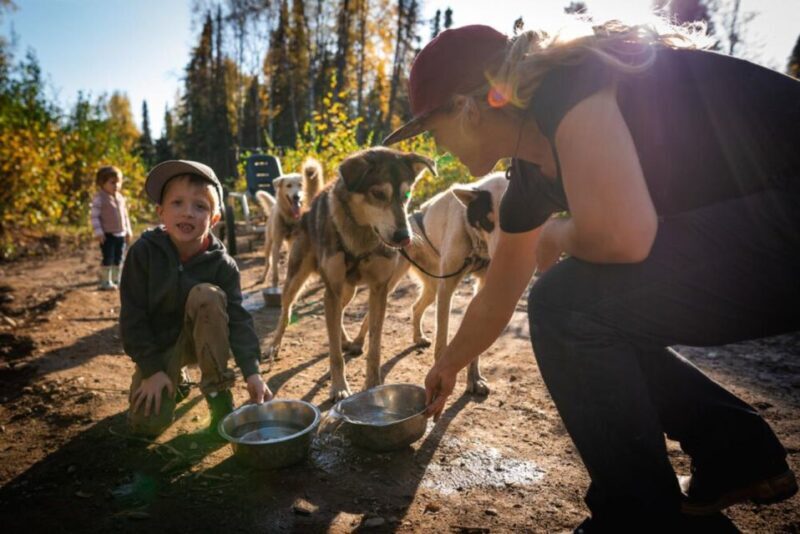 Talkeetna: Mushing Experience with Iditarod Champion Dogs - What is the Mushing Experience in Talkeetna Like?