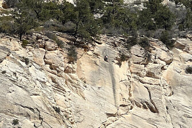 "Tallest in Utah" Via Ferrata & Rappelling (4 hr) - The Gear and Comfort