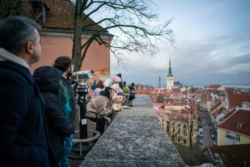 Tallinn: 1.5-Hour Old Town Walking Tour - Why You Might Love This Tour