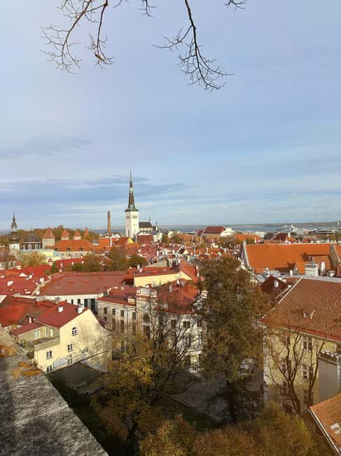 Tallinn: 3-hour tram and walking combo tour - FAQ