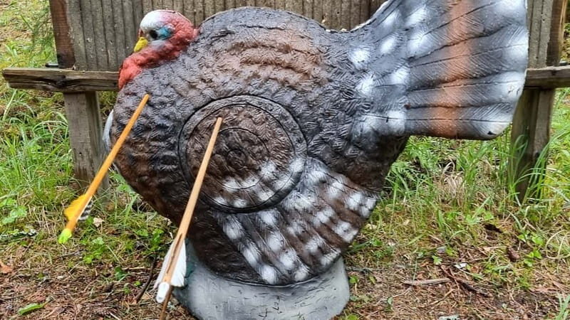 Tallinn: Beginner Archery Class with Transfer - Key Points