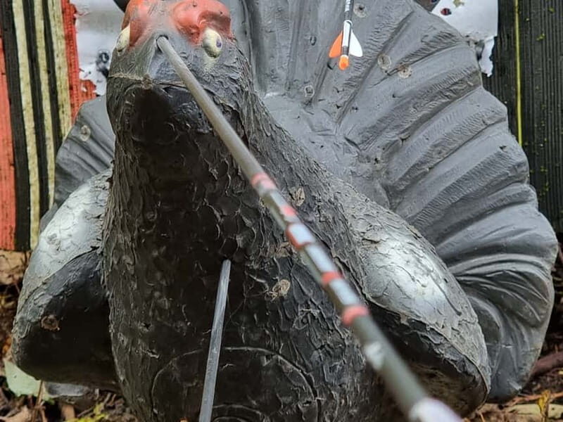 Tallinn: Beginner Archery Class with Transfer - The Friendly Competition