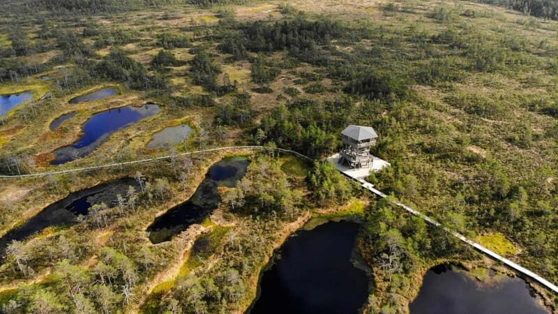 Tallinn: Best Estonian Nature Trails in a Day Guided Tour - What We Love and What to Consider