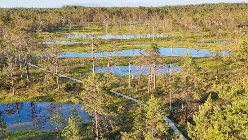 Tallinn: Best Estonian Nature Trails in a Day Guided Tour - Final Thoughts