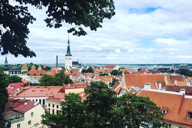 Tallinn Day Tour from Helsinki (Ferry Tickets+ Guiding+ Own Time) - Who Is This Tour Best For?