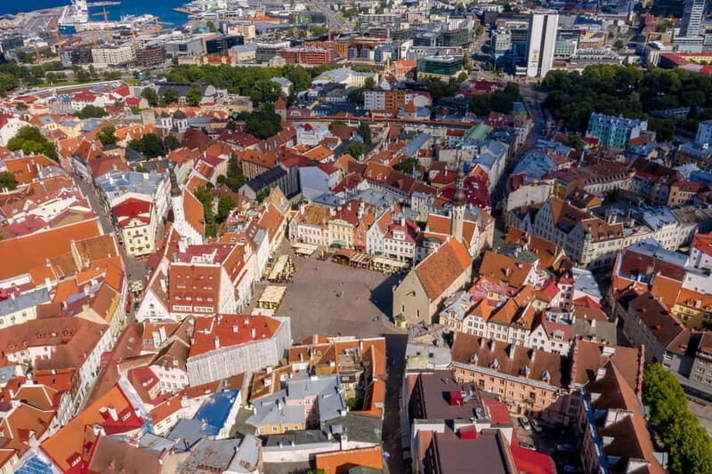 Tallinn: Express Walk with a Local in 60 minutes - What to Expect from a 60-Minute Walk