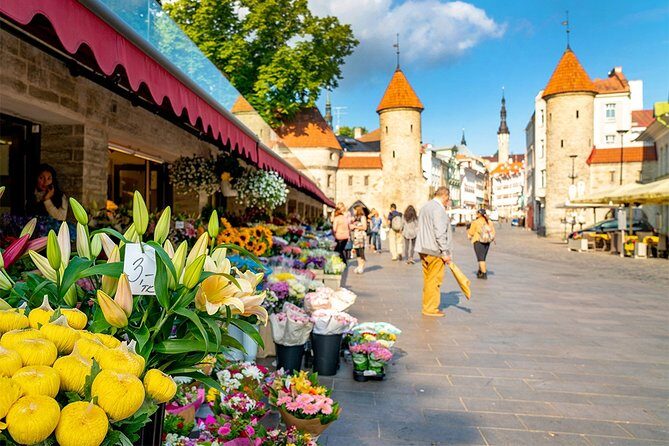 Tallinn Highlights and Marzipan Painting Masterclass - Price and Value