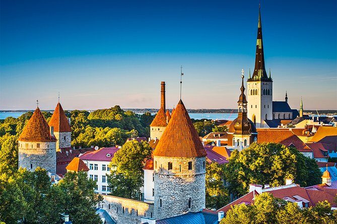 Tallinn Highlights and Marzipan Painting Masterclass - Who is This Tour Best For?