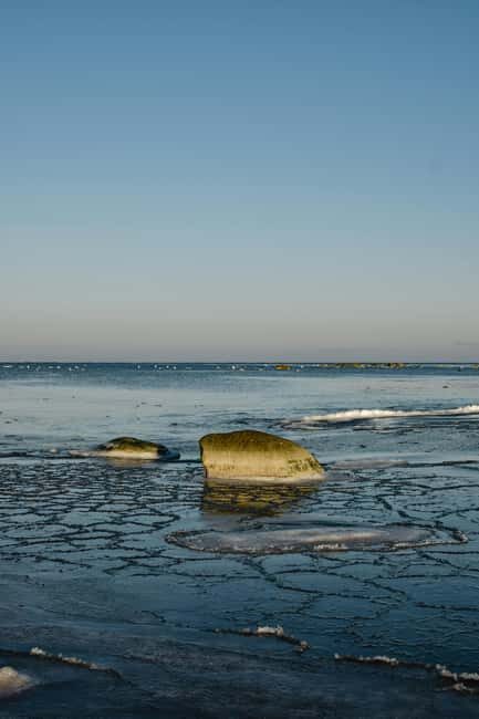Tallinn: Malusi Islands Seal Watching Boat Tour - Key Points