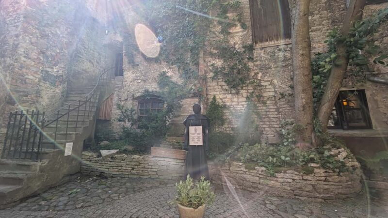 Tallinn: Old Town Private & Personalized Walking Tour - Price and Value