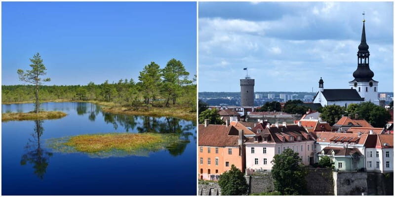 Tallinn: Old Town Tour with Bog Walk - Who Should Consider This Tour?