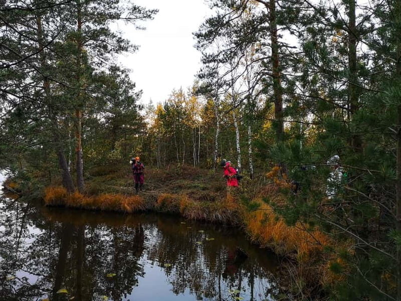 Tallinn: Old Town Tour with Bog Walk - Frequently Asked Questions
