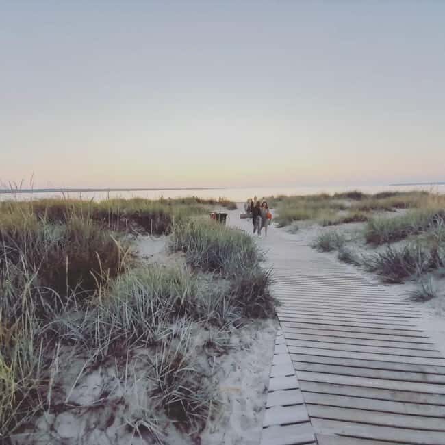 Tallinn: Pakri landscape conservation park and coast 5h - Summary of the Experience