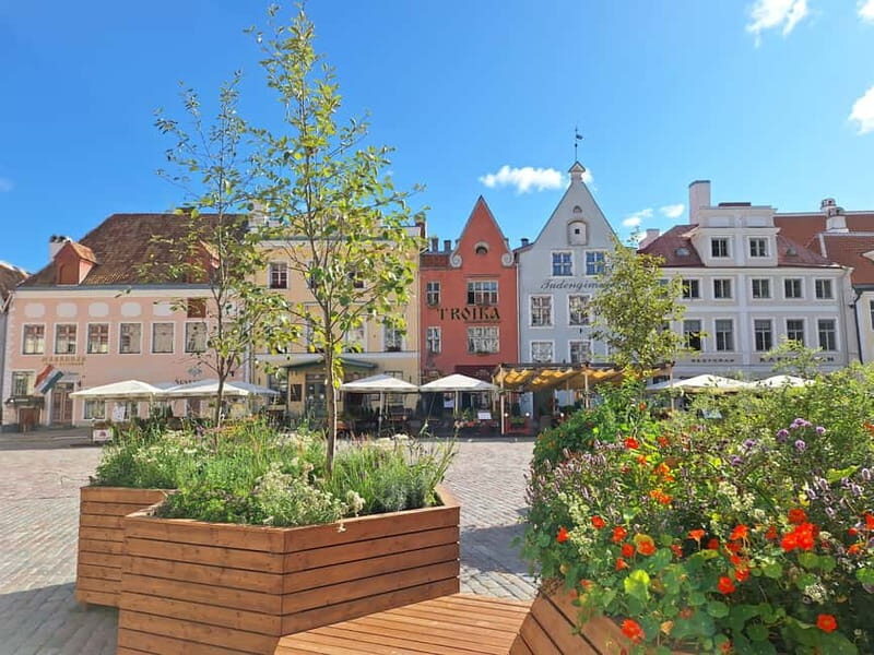 Tallinn: Private Guided Walking Tour of the Medieval City - What’s Not Included and Considerations