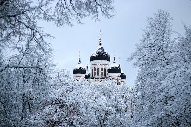 Tallinn Top Attractions and Viimsi Open Air Museum - Final Thoughts: Is This Tour for You?