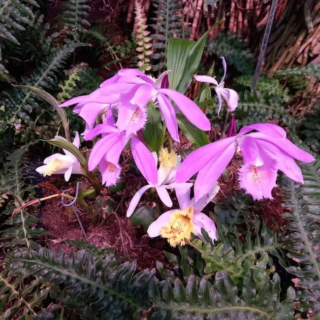 Tallinn TV tower and Botanic garden (a tour with a guide) - The Tour: What to Expect