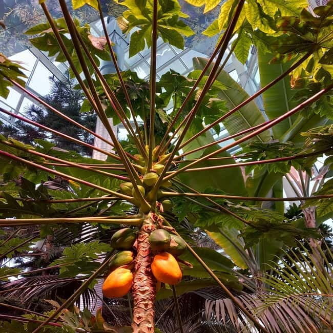 Tallinn TV tower and Botanic garden (a tour with a guide) - Who Will Enjoy This Tour?