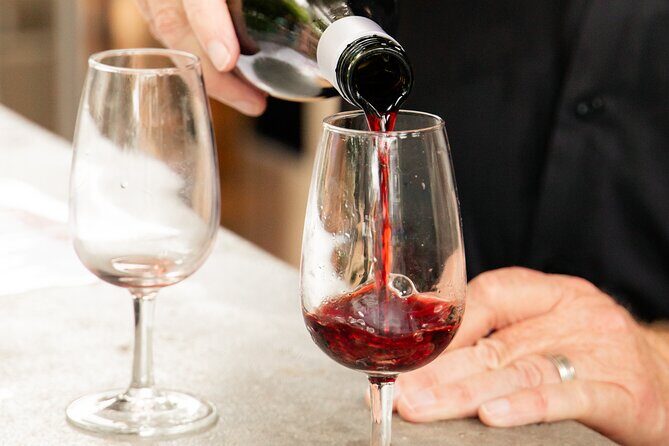 Tamborine Explorer from Brisbane - Starting Point and Duration