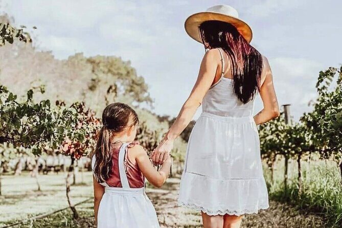 Tamborine Mountain - Hop On Hop Off - From Brisbane - Who Will Love This Tour?