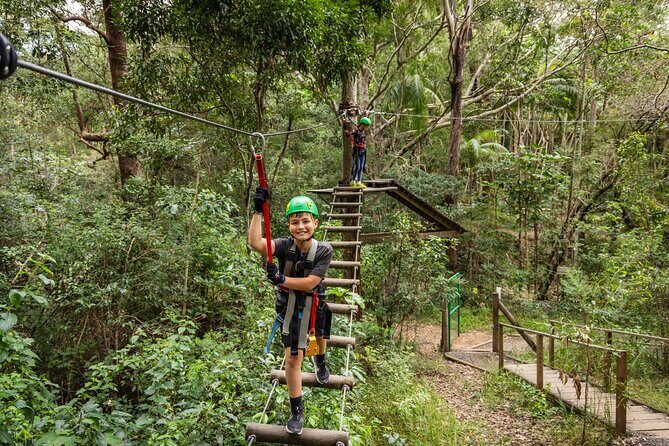 Tamborine Mountain TreeTop Challenge Adventure Park - Who Should Consider This Experience?