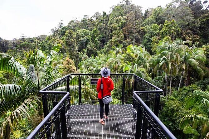 Tamborine Rainforest Skywalk + Hop on Hop off Bus - Who Would Enjoy This?