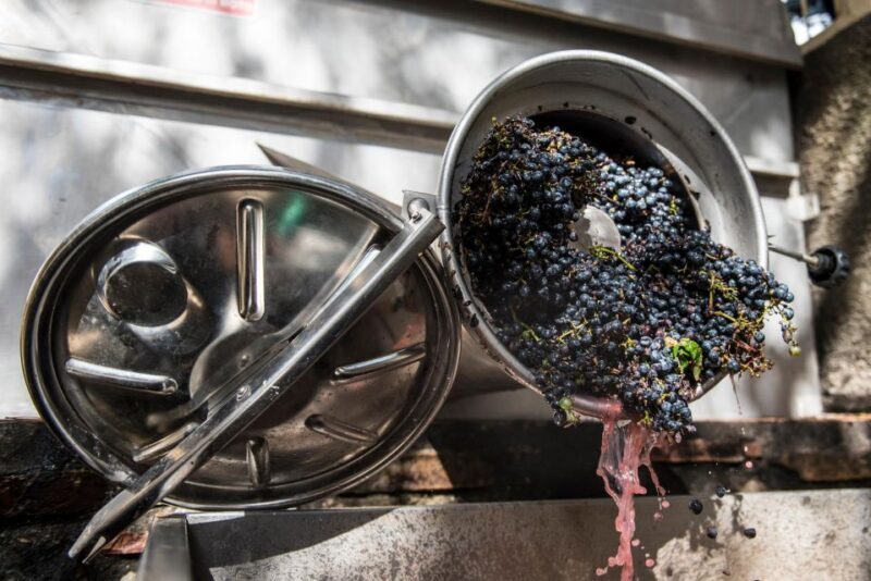 Tamburini Wine Tour and Tasting - Who Will Appreciate This Tour?