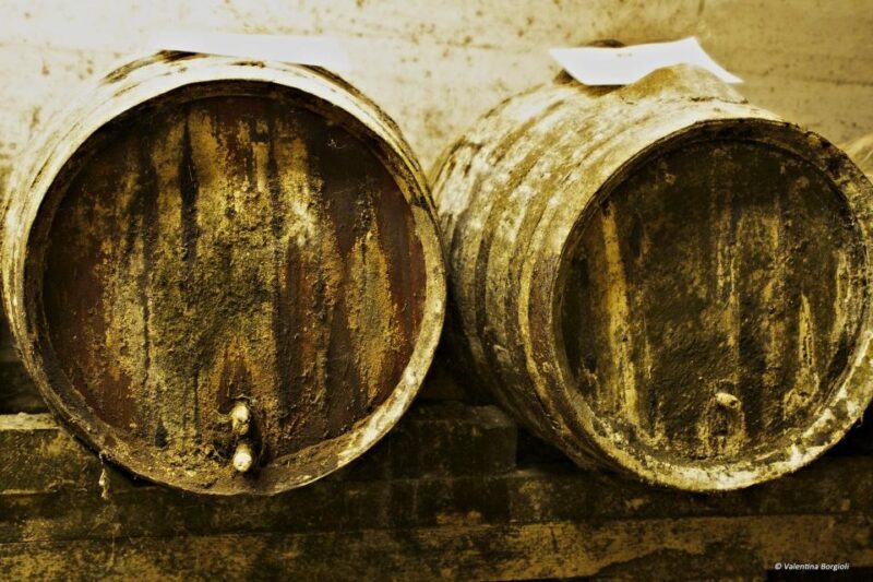 Tamburini Wine Tour and Tasting - Practical Details