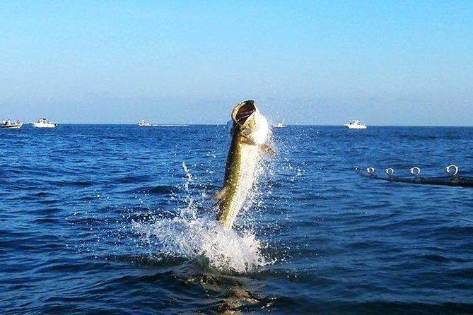 Tampa Bay Inshore Fishing Charters - Who Will Enjoy This?