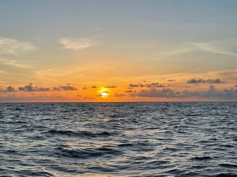 Tampa Bay: Sunset Cruise with Celebrity Homes and Wildlife - Views & Sunset Magic